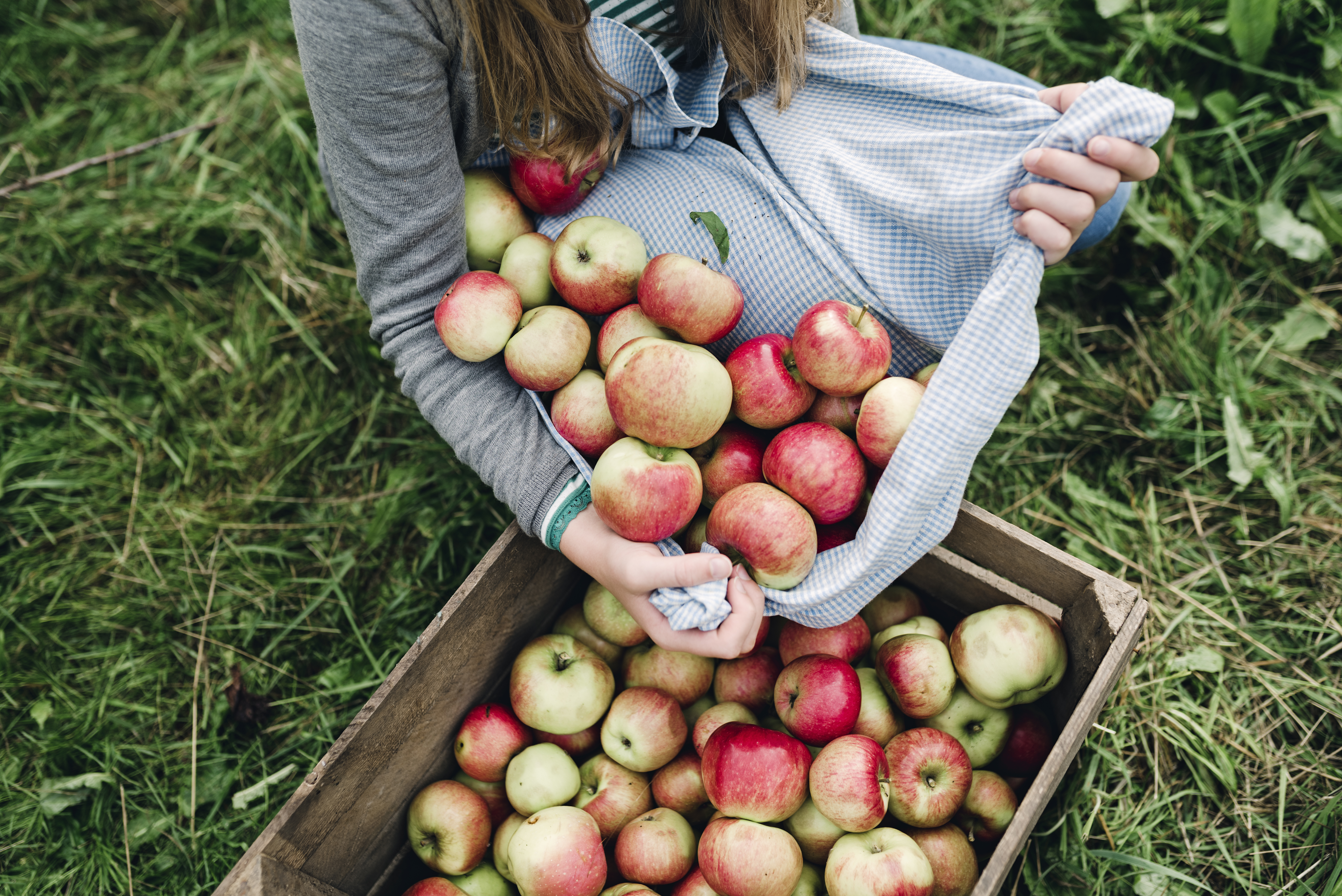 oung people earning money during holidays in Australia through seasonal or casual work, like fruit picking, hospitality, or tourism jobs